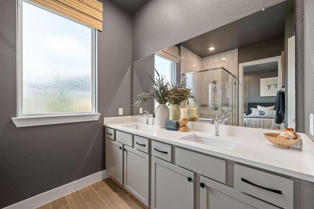532 Deep Sands Drive, Waller, TX 77447