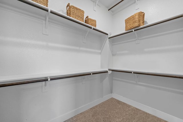 532 Deep Sands Drive, Waller, TX 77447