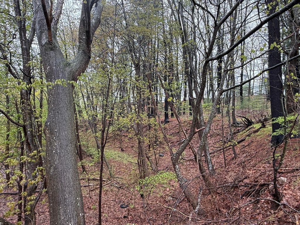 M49 L51-2 N Berwick Road, Wells, ME 04090 — photo 2
