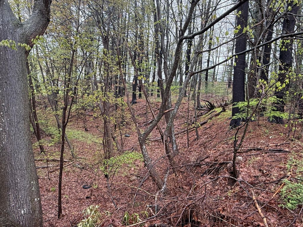 M49 L51-2 N Berwick Road, Wells, ME 04090 — photo 3