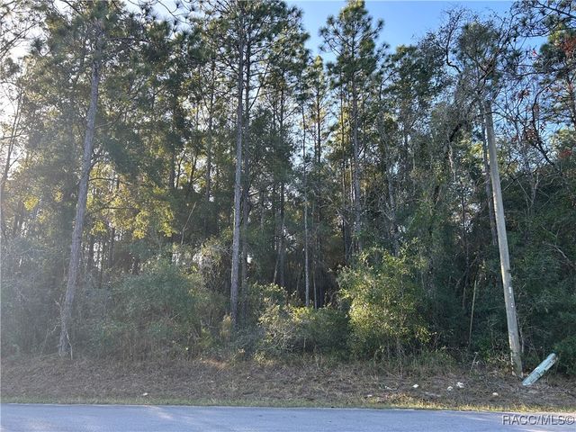 3108 E Porter Street, Inverness, FL 34453