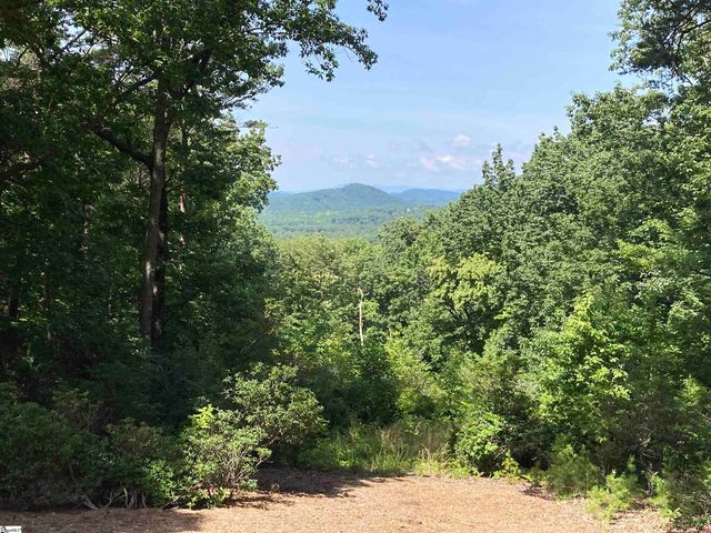 201 Plumley Summit Road, Landrum, SC 29356