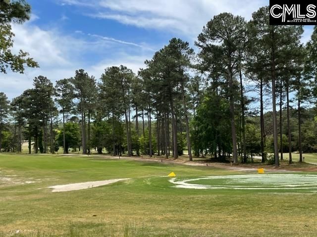 187 Long Iron Court, West Columbia, SC 29172