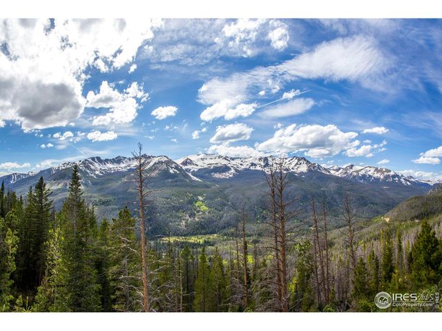 1780 Continental Peaks Cir, Estes Park, CO 80517