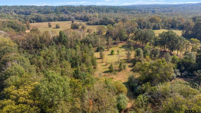 TBD FM Road 16 East, Winona, TX 75792