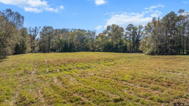 TBD FM Road 16 East, Winona, TX 75792