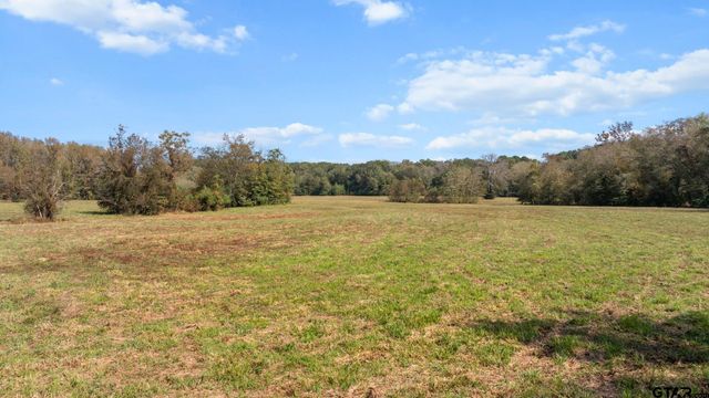 TBD FM Road 16 East, Winona, TX 75792