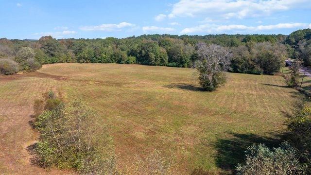 TBD FM Road 16 East, Winona, TX 75792