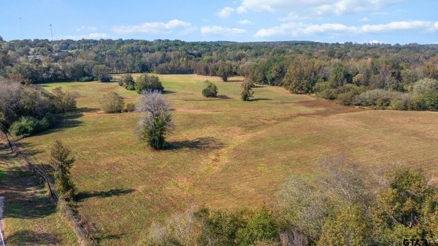 TBD FM Road 16 East, Winona, TX 75792