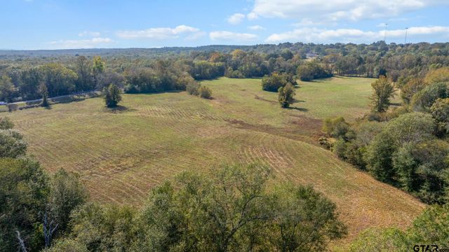 TBD FM Road 16 East, Winona, TX 75792