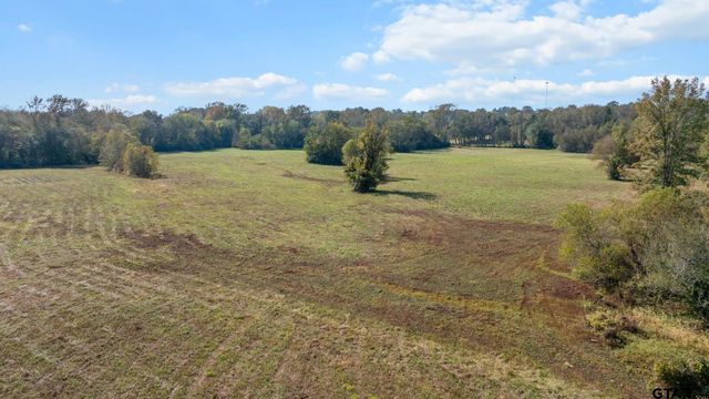 TBD FM Road 16 East, Winona, TX 75792