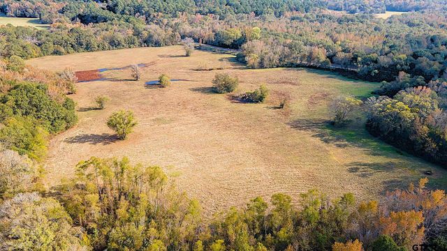 TBD FM Road 16 East, Winona, TX 75792