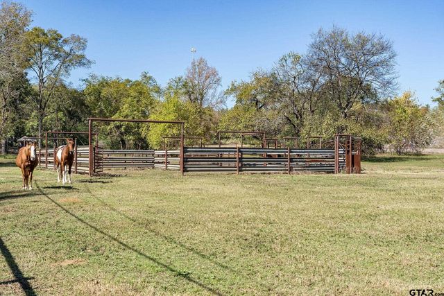TBD FM Road 16 East, Winona, TX 75792