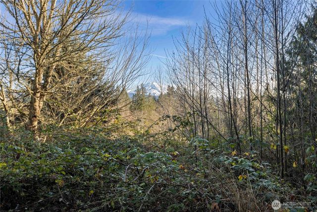 16018 229th Street E, Graham, WA 98338