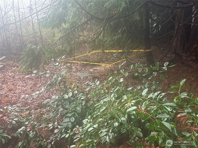 16018 229th Street E, Graham, WA 98338