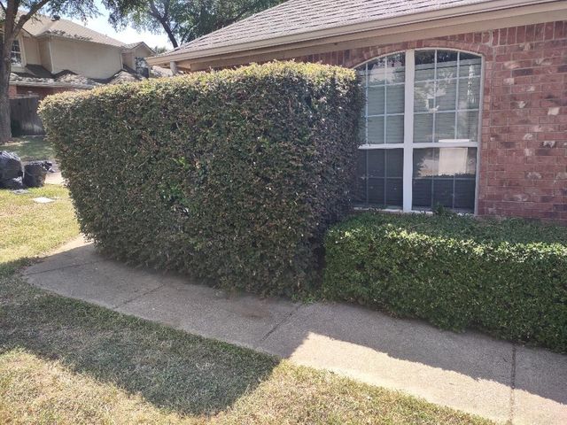 3101 Cape Cod Court, Arlington, TX 76017