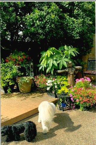 366 Champions Colony Iii, Houston, TX 77069