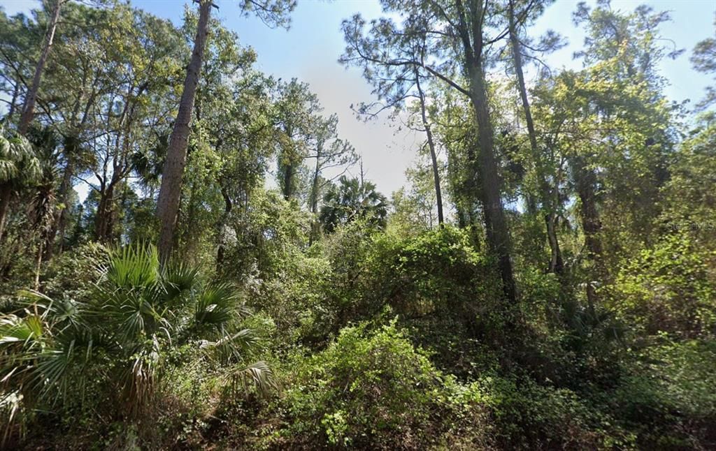 303 SIESTA DRIVE, Georgetown, FL 32139