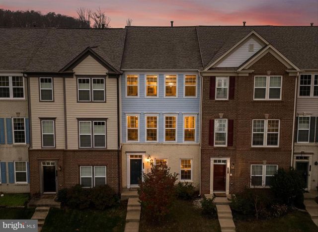 507 FLAMEFLOWER TER SE, Leesburg, VA 20175