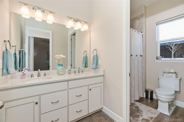 7005 Leilani Drive, Castle Rock, CO 80108