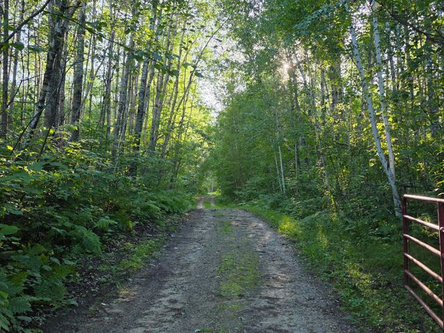 351 Pine Mountain Lake Road NW, Backus, MN 56435