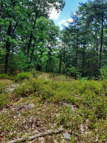 319 River Road S, Putney, VT 05346