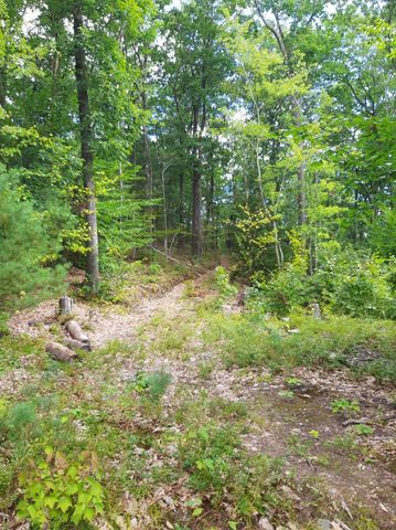 319 River Road S, Putney, VT 05346