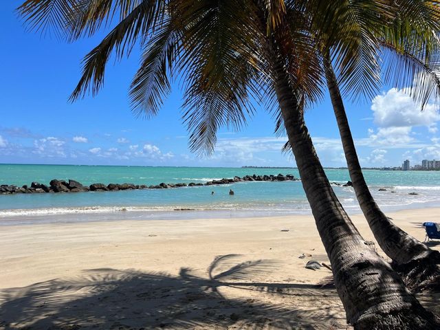 3409 AVE. ISLA VERDE 904, Carolina, PR 00979