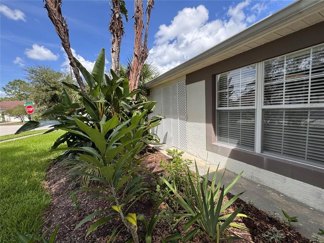 1909 BRANDY MILL LANE, Orlando, FL 32825