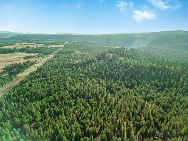 XXX N Waldrons Ln, Chattaroy, WA 99003