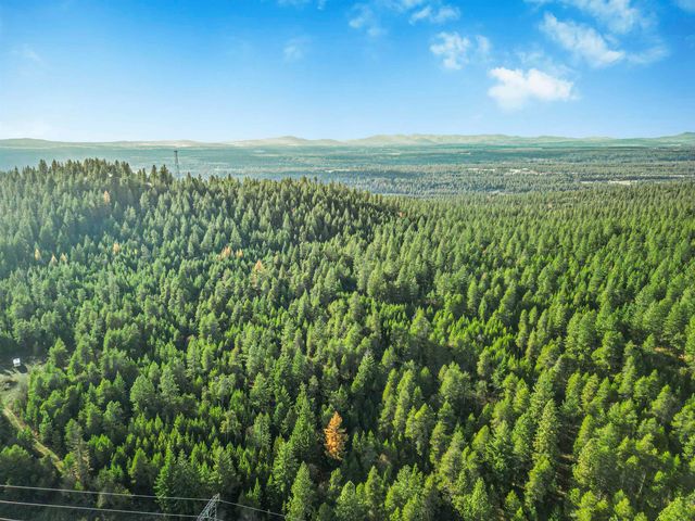 XXX N Waldrons Ln, Chattaroy, WA 99003