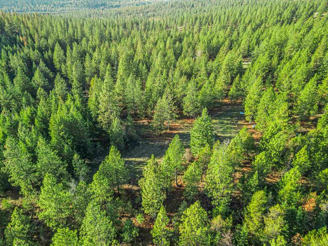 XXX N Waldrons Ln, Chattaroy, WA 99003