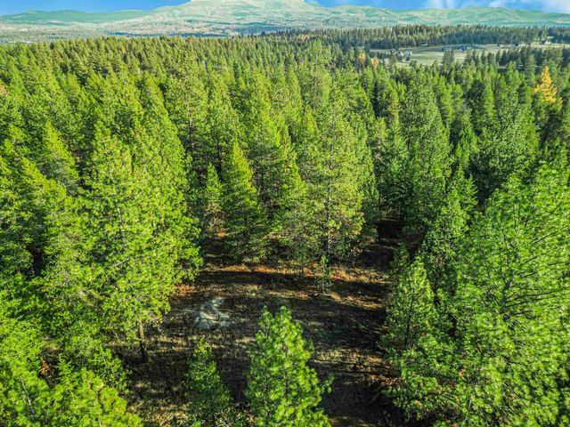 XXX N Waldrons Ln, Chattaroy, WA 99003