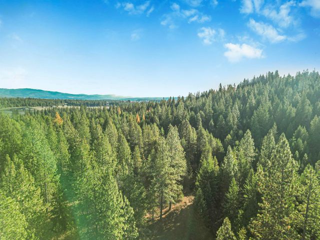 XXX N Waldrons Ln, Chattaroy, WA 99003