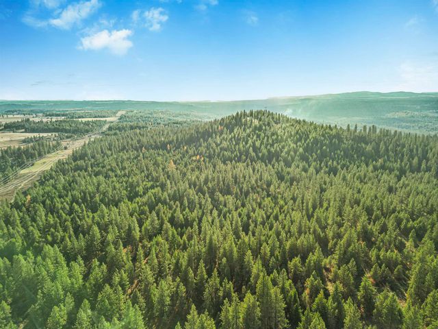 XXX N Waldrons Ln, Chattaroy, WA 99003