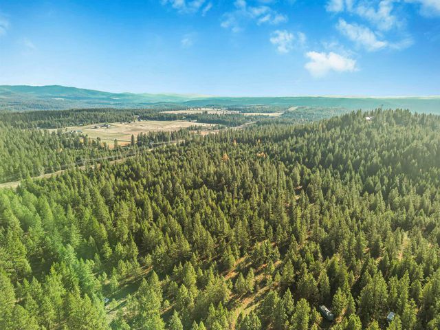 XXX N Waldrons Ln, Chattaroy, WA 99003