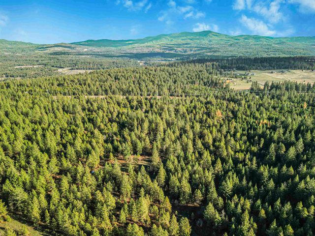 XXX N Waldrons Ln, Chattaroy, WA 99003