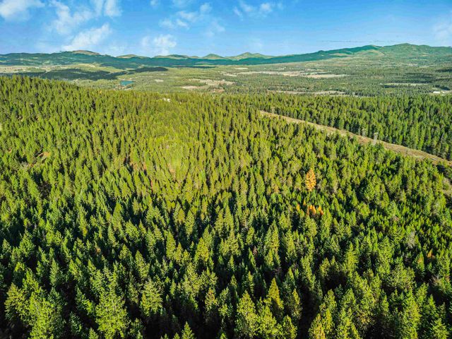 XXX N Waldrons Ln, Chattaroy, WA 99003