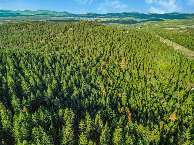 XXX N Waldrons Ln, Chattaroy, WA 99003