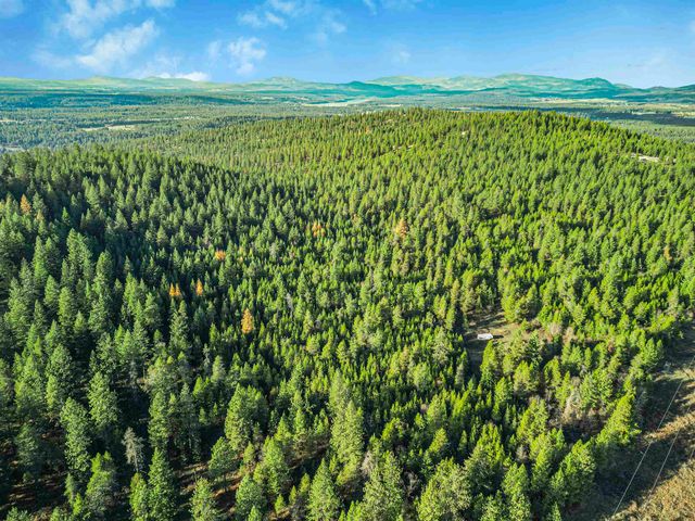 XXX N Waldrons Ln, Chattaroy, WA 99003