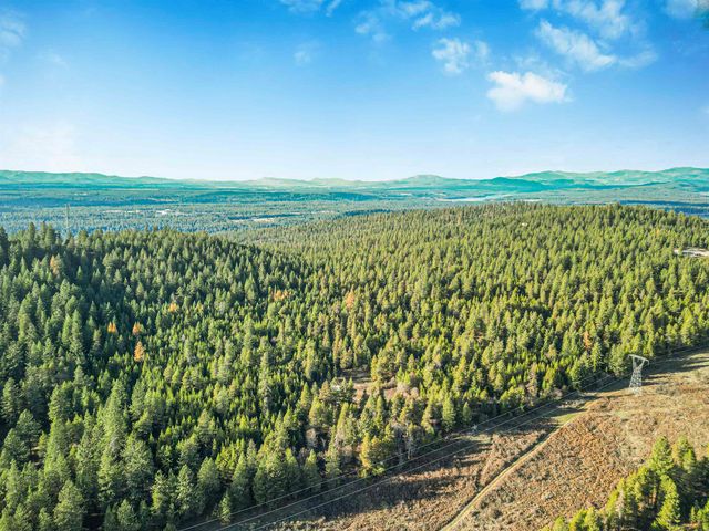 XXX N Waldrons Ln, Chattaroy, WA 99003