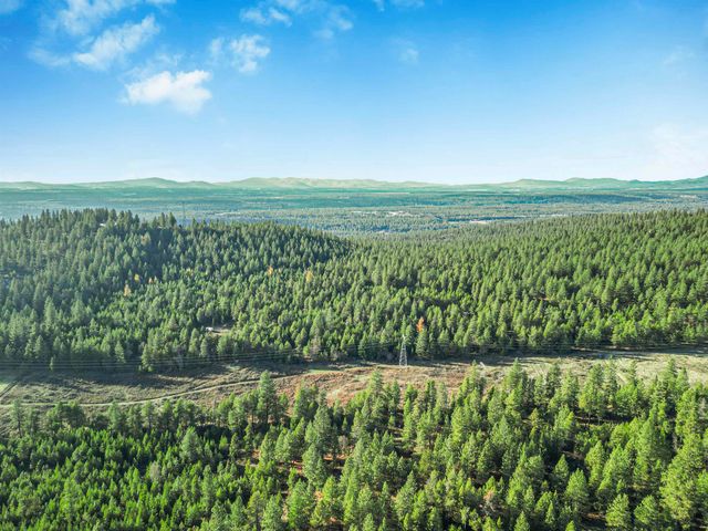 XXX N Waldrons Ln, Chattaroy, WA 99003