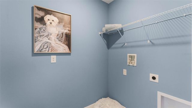 17867 ACORN DROP ROAD, Land O Lakes, FL 34638