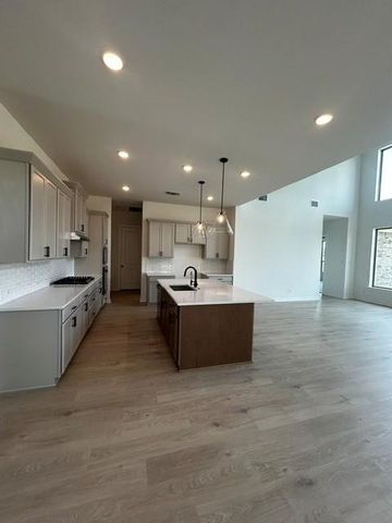 1117 Ellensburg DR, Georgetown, TX 78633