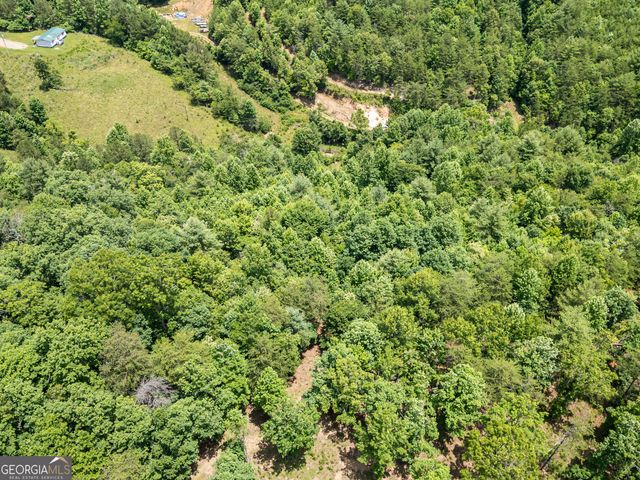 LT 2 Stormy Ridge, Brasstown, NC 28902