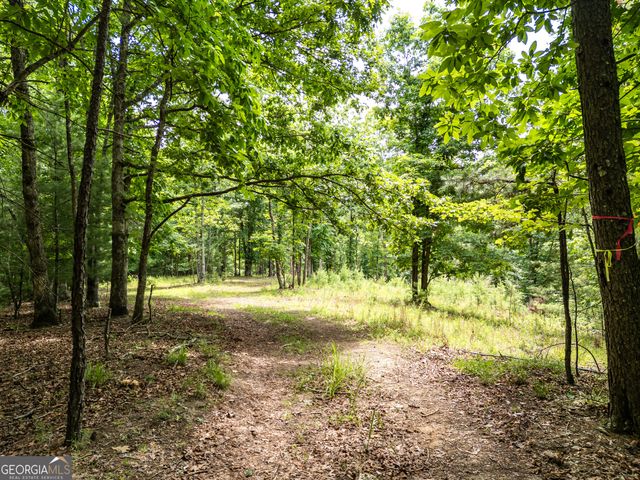 LT 2 Stormy Ridge, Brasstown, NC 28902