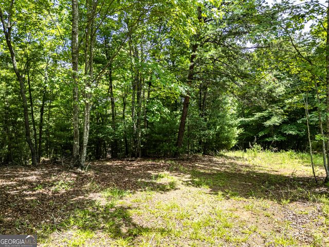 LT 2 Stormy Ridge, Brasstown, NC 28902