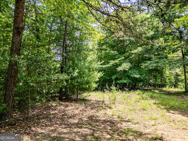 LT 2 Stormy Ridge, Brasstown, NC 28902