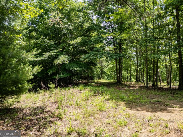 LT 2 Stormy Ridge, Brasstown, NC 28902