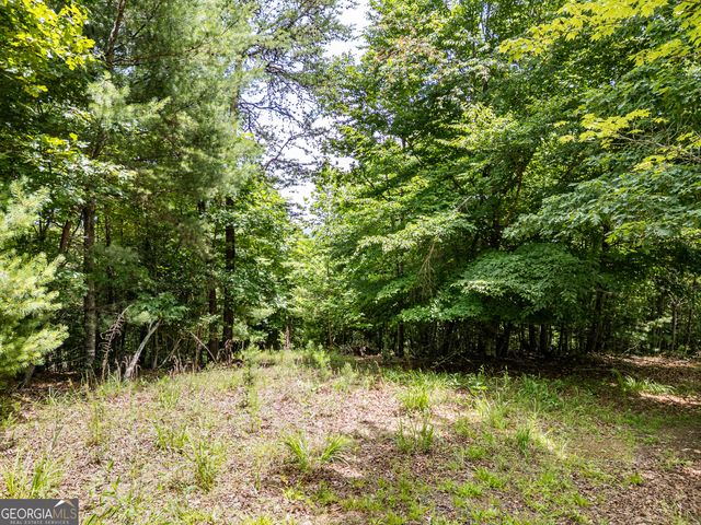 LT 2 Stormy Ridge, Brasstown, NC 28902